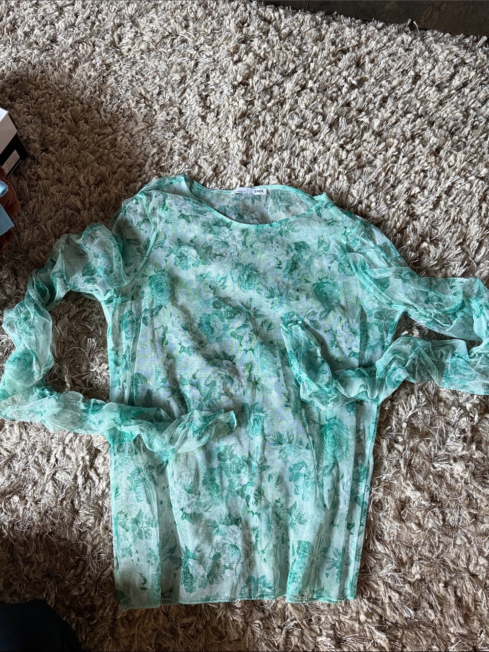Zara Mint Green Floral Sheer Long-Sleeve Top